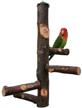 dotlite nature parrots branches suitable logo