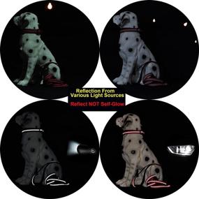 img 2 attached to 🐶 Enhance Nighttime Safety with Mile High Life Night Reflective Small Puppy Pet Dog Combo Collar Leash and Harness Set