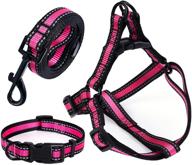 🐶 enhance nighttime safety with mile high life night reflective small puppy pet dog combo collar leash and harness set logo