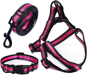 img 4 attached to 🐶 Enhance Nighttime Safety with Mile High Life Night Reflective Small Puppy Pet Dog Combo Collar Leash and Harness Set