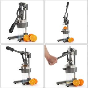 img 3 attached to 🍊 Royal Brands Heavy Duty Citrus Juicer - Premium Cast Iron Manual Squeezer with Stainless Steel Strainer for Fresh Lemon, Orange, and Grapefruit Juice
