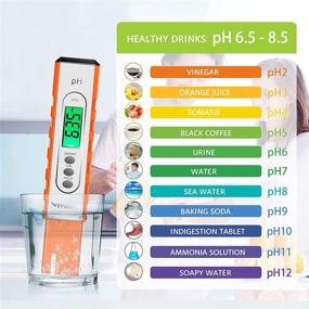 img 2 attached to VIVOSUN Accuracy Measurement Household Drinking Kitchen & Dining