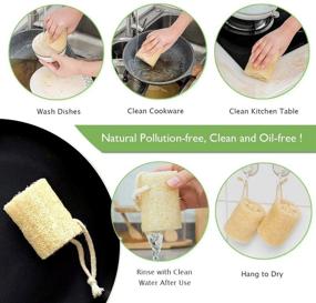 img 2 attached to Organic Loofah Luffa Sponges and Cloth Cleaning Kit: Ideal for Kitchenware and Bath Spa Skin Care