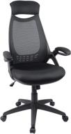 🪑 hylone ergonomic office desk chair: swivel mesh computer chair with headrest and flip-up arms, high-back executive chair (black) logo