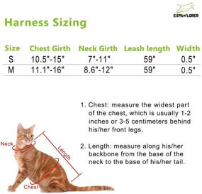 img 3 attached to 🐱 EXPAWLORER Reflective Cat Jacket Harness with Leash Set: Safety Vest for Small Pets – Fluorescent Green