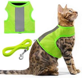 img 2 attached to 🐱 EXPAWLORER Reflective Cat Jacket Harness with Leash Set: Safety Vest for Small Pets – Fluorescent Green