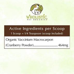 img 1 attached to 🍒 Wholistic Pet Organics WholeCran Intense: Cranberry for Dogs UTI, Urinary Tract Support, Bladder Control and Kidney Health - Organic Dog Cranberry Powder with Vitamin C and Antioxidants - 2 Oz