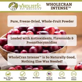 img 2 attached to 🍒 Wholistic Pet Organics WholeCran Intense: Cranberry for Dogs UTI, Urinary Tract Support, Bladder Control and Kidney Health - Organic Dog Cranberry Powder with Vitamin C and Antioxidants - 2 Oz