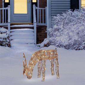 img 3 attached to 🦌 Alpine Corporation 24-Inch Outdoor/Indoor Rattan Grazing Reindeer with Lights - Christmas and Holiday Yard Decoration
