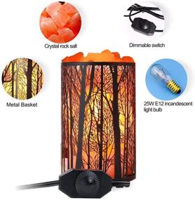 img 2 attached to 🌿 Himalayan Salt Lamp, Natural Night Light with Dimmer Switch - Forest Design Metal Basket (4.1 x 6.5", 4.4-5lbs) - Includes 25Watt Bulbs & ETL Cord - 1 Pack