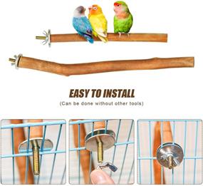 img 2 attached to 🦜 S-Mechanic Natural Bird Stand Perches - Ideal Parrot Cage Accessories for Small or Medium Parrots
