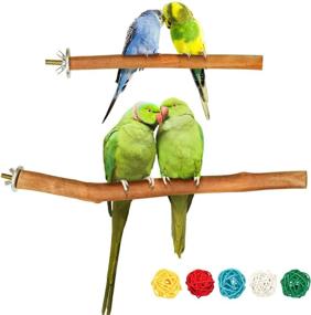 img 4 attached to 🦜 S-Mechanic Natural Bird Stand Perches - Ideal Parrot Cage Accessories for Small or Medium Parrots