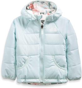 img 3 attached to 🧥 Boys' North Face Toddler Reversible Perrito Jackets & Coats