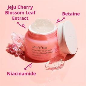 img 1 attached to 💧 innisfree Cherry Blossom Dewy Glow Jelly Cream Moisturizer – Powerful Face Hydration, 1.69 Fl Oz (Pack of 1)