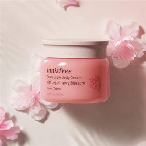 img 2 attached to 💧 innisfree Cherry Blossom Dewy Glow Jelly Cream Moisturizer – Powerful Face Hydration, 1.69 Fl Oz (Pack of 1)