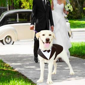 img 3 attached to 🐶 Medium Large Dog Formal Tuxedo Suit with Detachable Collar for Weddings, Parties, and Cosplay - Elegant Dog Apparel with Bowtie Shirt and Bandana Set for Dress-up Fun and Holiday Wear