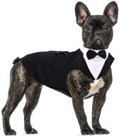 🐶 medium large dog formal tuxedo suit with detachable collar for weddings, parties, and cosplay - elegant dog apparel with bowtie shirt and bandana set for dress-up fun and holiday wear логотип