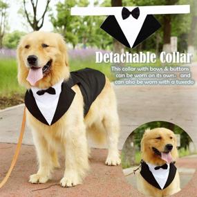 img 2 attached to 🐶 Medium Large Dog Formal Tuxedo Suit with Detachable Collar for Weddings, Parties, and Cosplay - Elegant Dog Apparel with Bowtie Shirt and Bandana Set for Dress-up Fun and Holiday Wear