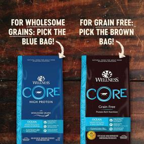 img 1 attached to 🐶 Wholesome Grains-Infused Wellness CORE Dry Dog Food: High Protein Ocean Recipe with Whitefish, Natural Ingredients, USA-Made, Ideal for Adult Dogs of All Breeds