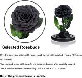 img 1 attached to 🌹 Ручная работа NATROSES - сохраненные розы в стеклянном куполе: долговечные черные розы для особых случаев