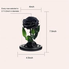 img 3 attached to 🌹 NATROSES Handmade Preserved Roses in Glass Dome: Long-Lasting Black Roses for Special Occasions