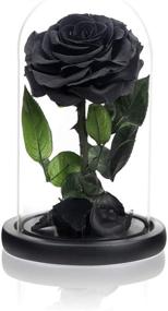 img 4 attached to 🌹 NATROSES Handmade Preserved Roses in Glass Dome: Long-Lasting Black Roses for Special Occasions