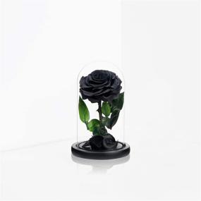img 2 attached to 🌹 NATROSES Handmade Preserved Roses in Glass Dome: Long-Lasting Black Roses for Special Occasions