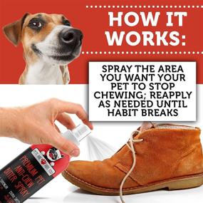 img 3 attached to 🐶 No Chew Bitter Spray: Effective Anti Chew Dog Training Spray - Stop Chewing and Licking with Pet Deterrent - Safe for Pets and Furniture - Get 1 or 3 Bottles Now!