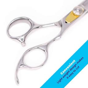 img 1 attached to Barber Hair Cutting Scissors - Japanese Stainless Steel Salon Scissors - Equinox Professional Razor Edge Series - 6.5” Overall Length - Fine Adjustment Tension Screw - Premium Hair Cutting Shears