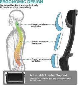 img 3 attached to 🪑 Piorlado Ergonomics Office Chair: Adjustable Headrest, Backrest, and Armrests - Mesh Chair for Optimal Comfort