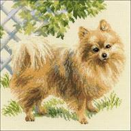 pomeranian counted cross stitch kit 9 75 logo