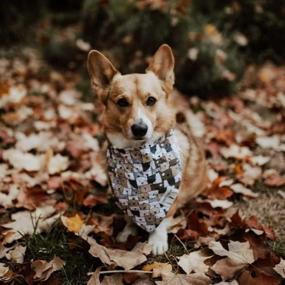 img 1 attached to 🐶 Set of 3 Pure Soft Cotton Dog Bandanas by G.A.S - Washable Neckerchief with Durable Fabric - Adjustable Dog Apparel & Accessories - Comes in Cardboard Box