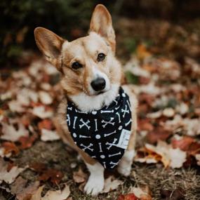 img 2 attached to 🐶 Set of 3 Pure Soft Cotton Dog Bandanas by G.A.S - Washable Neckerchief with Durable Fabric - Adjustable Dog Apparel & Accessories - Comes in Cardboard Box