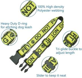 img 2 attached to 🐶 Durable DWOOFG Dog Collar for Medium Large Dogs: Emotional Support in Training - Lettered Service Dog, Mama Declares Me Special! DO NOT PET