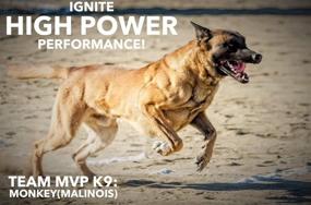 img 1 attached to MVP K9 Supplements Builder Performance