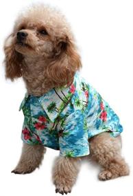 img 3 attached to 🌺 Hawaiian Pet Dog Polo T Shirts for Small to Medium Puppies and Cats - Stylish Summer Vest by EXPAWLORER