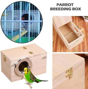 img 2 attached to Hovico Parakeet Parrotlets Lovebirds Breeding