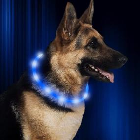 img 4 attached to HiGuard LED Dog Collar - USB Rechargeable Glowing Pet Safety Collars for Dogs, Adjustable Water-Resistant Flashing Light Up Necklace Collar Ensuring High Visibility & Safety in the Dark (1Pack-Blue)