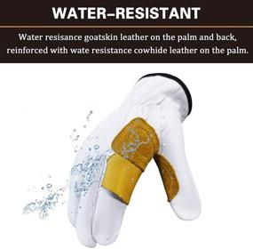 img 1 attached to Intra FIT Water Resistance Rappelling Adventure Comfortable