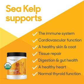 img 3 attached to 🌱 C-Kelp Nutritional Supplement Powder by Thomas Laboratories - 7-Pound