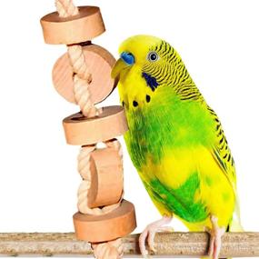 img 4 attached to 🦜 SunGrow Parakeet Hanging Wooden Chew Toy, 12-Inch Wood Cookies for Pecking and Chewing, Natural Pithy Wood Blocks with Safe Cotton Rope, Perfect for Parrots, Macaws, African Greys, and Conures - 1 Pack