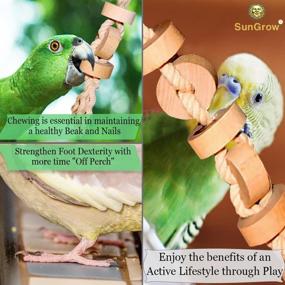 img 2 attached to 🦜 SunGrow Parakeet Hanging Wooden Chew Toy, 12-Inch Wood Cookies for Pecking and Chewing, Natural Pithy Wood Blocks with Safe Cotton Rope, Perfect for Parrots, Macaws, African Greys, and Conures - 1 Pack