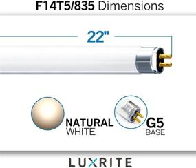 img 1 attached to Brilliantly Bright: Luxrite Fluorescent Natural Equivalent LR20857 for Efficient Lighting Solutions