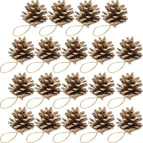 img 4 attached to 🎄 BBTO 18-Piece 1.57 Inch Christmas Pine Cones: Snow-Tipped Natural Decorations (Gold)