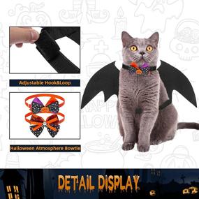 img 1 attached to 🐾 SCENEREAL 2 Pack Cat Halloween Collar with Bow Ties and Bat Wings - Pet Costumes and Dress Up Accessories for Cats and Small Dogs