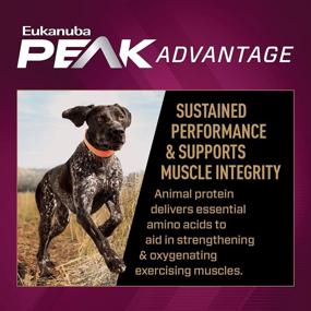 img 1 attached to Eukanuba Premium Performance Adult Dry Dog Food: Optimize Performance and Health for Your Canine Companion