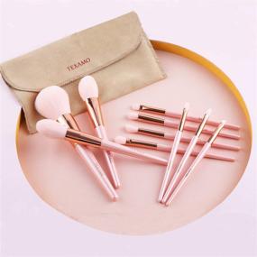 img 2 attached to 💄 Ten-Piece TEXAMO Makeup Brush Set: Synthetic Pink Brushes for Powder, Blush, Contour, Concealer, Eyeshadow, Eyebrow, Blending - Rose Gold Collection