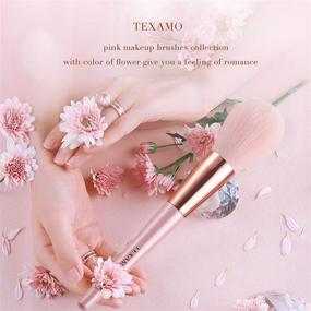 img 3 attached to 💄 Ten-Piece TEXAMO Makeup Brush Set: Synthetic Pink Brushes for Powder, Blush, Contour, Concealer, Eyeshadow, Eyebrow, Blending - Rose Gold Collection