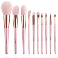 💄 ten-piece texamo makeup brush set: synthetic pink brushes for powder, blush, contour, concealer, eyeshadow, eyebrow, blending - rose gold collection logo
