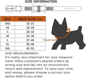 img 2 attached to 🐶 Premium Material Charmsong Dog Collar - Enhanced SEO